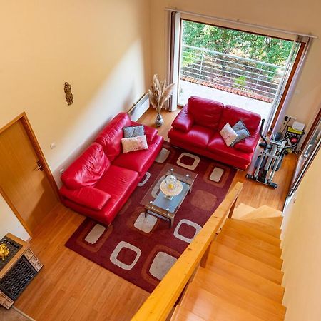Apartments Maris Novigrad  المظهر الخارجي الصورة