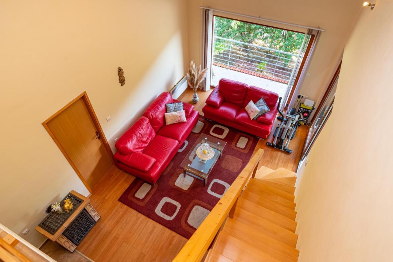 Apartments Maris Novigrad  المظهر الخارجي الصورة