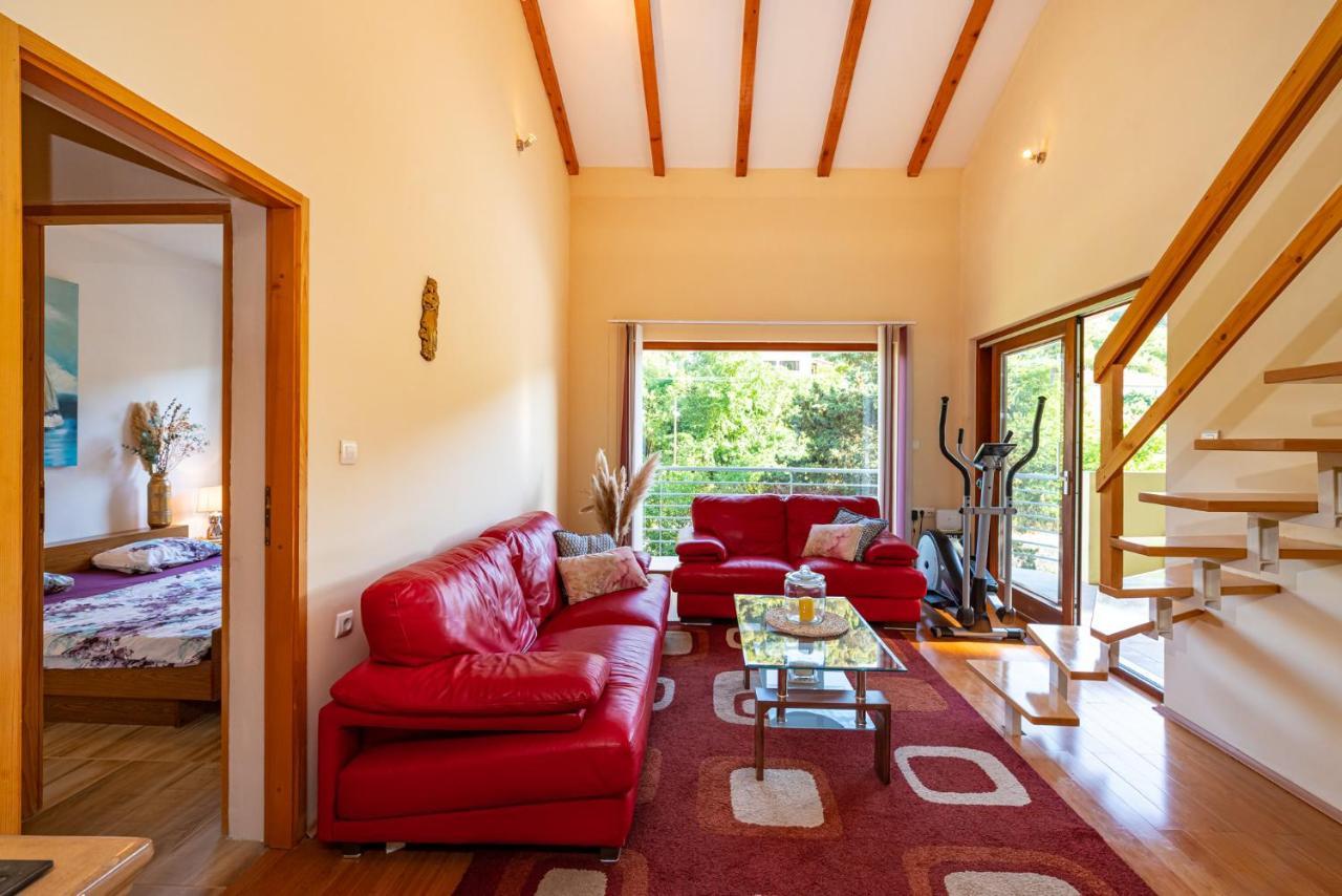 Apartments Maris Novigrad  المظهر الخارجي الصورة