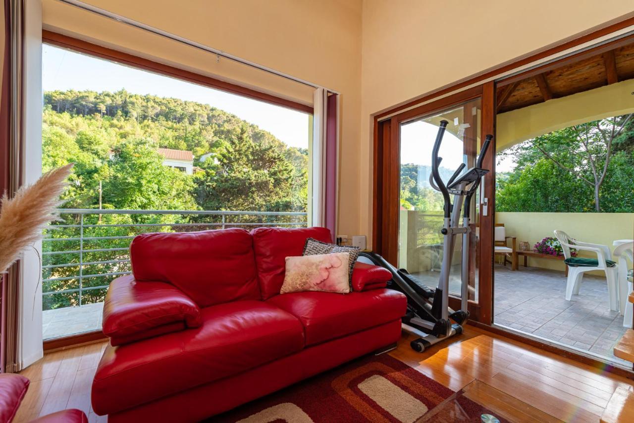 Apartments Maris Novigrad  المظهر الخارجي الصورة