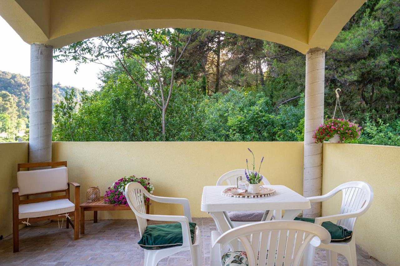Apartments Maris Novigrad  المظهر الخارجي الصورة