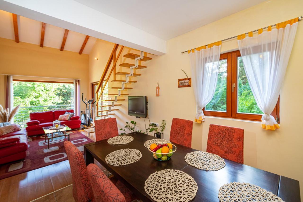 Apartments Maris Novigrad  المظهر الخارجي الصورة