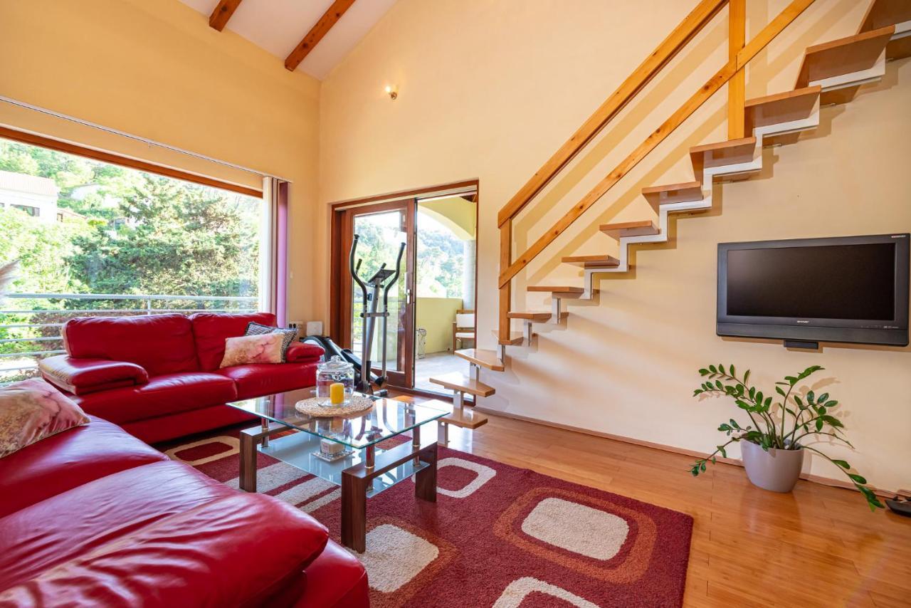 Apartments Maris Novigrad  المظهر الخارجي الصورة